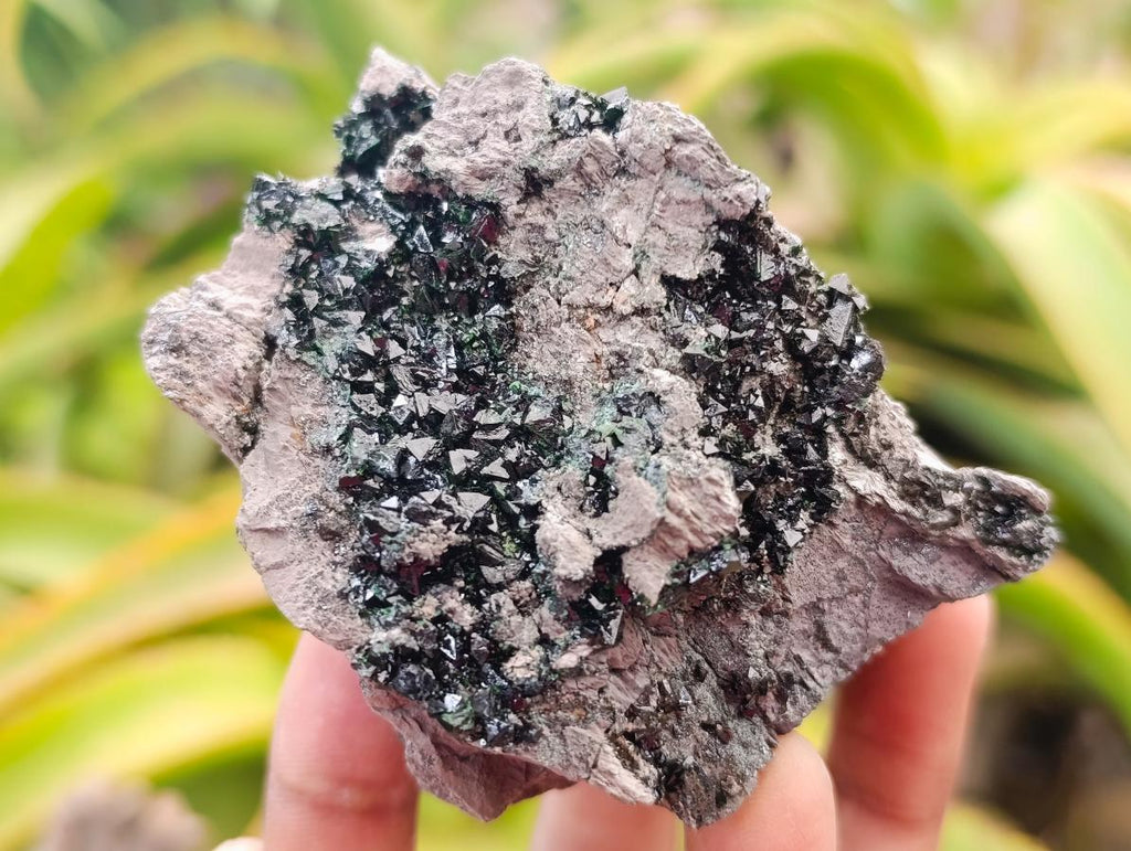 Natural Libethenite Crystals On Dolomite Matrix Specimens x 6 From Shituru, Congo