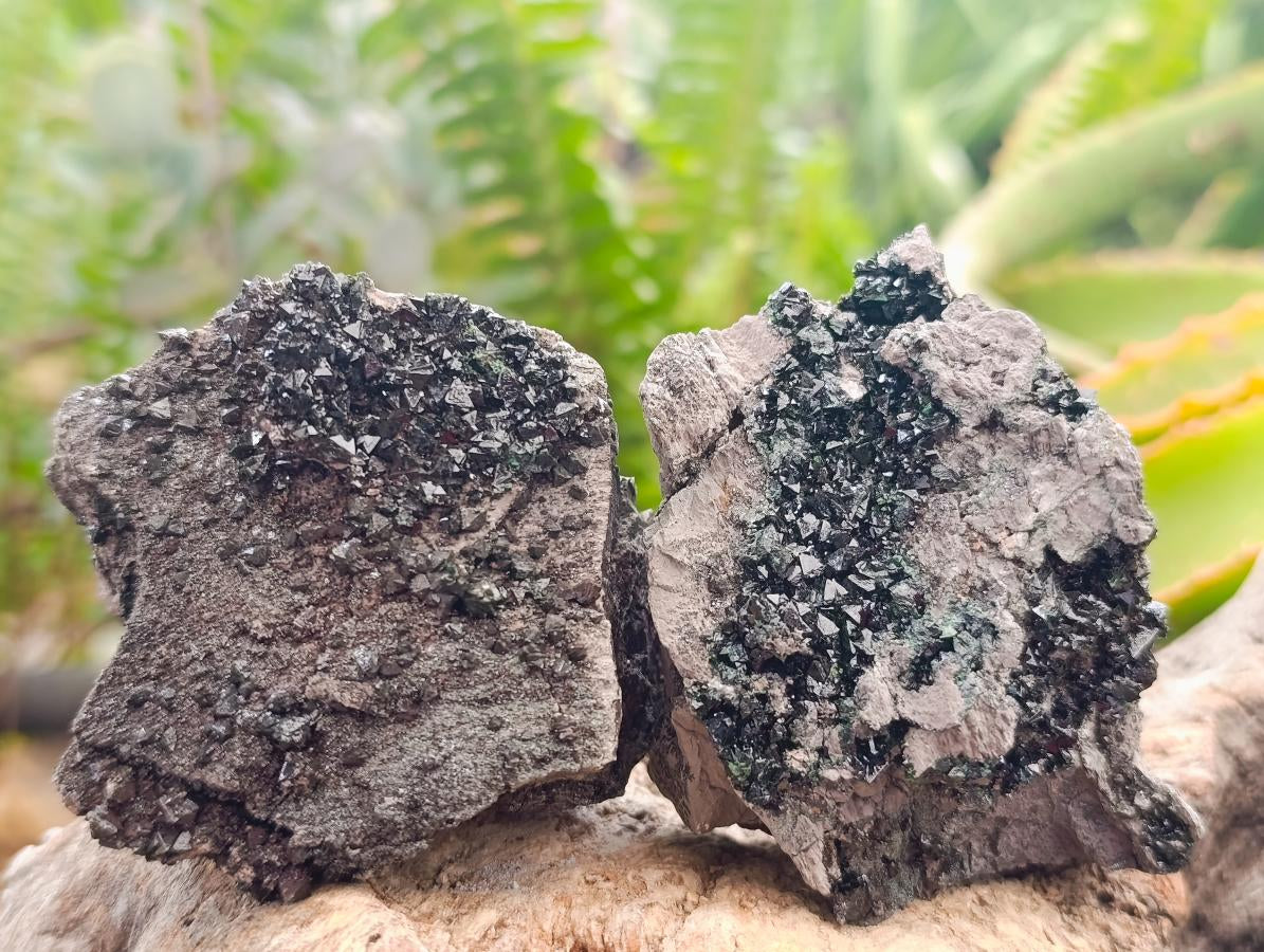 Natural Libethenite Crystals On Dolomite Matrix Specimens x 6 From Shituru, Congo