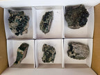 Natural Libethenite Crystals On Dolomite Matrix Specimens x 6 From Shituru, Congo