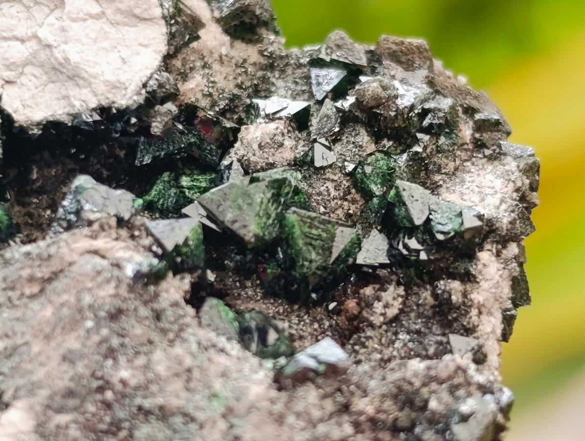 Natural Libethenite Crystals On Dolomite Matrix Specimens x 6 From Shituru, Congo