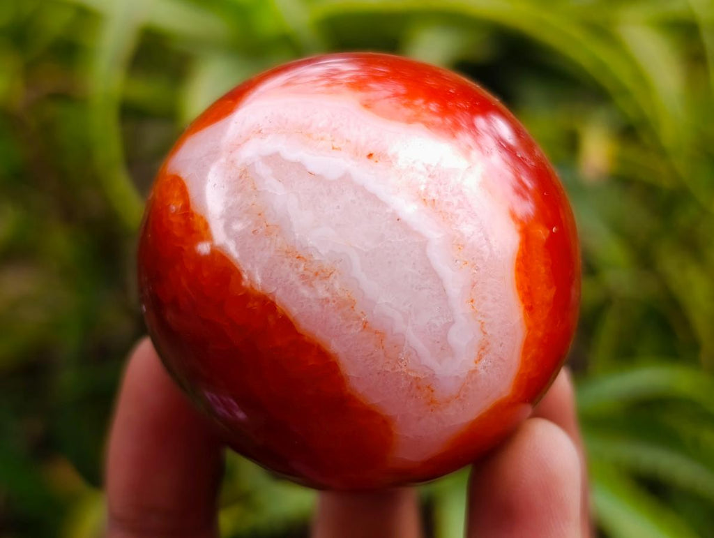 Polished Carnelian Agate Gemstone Spheres x 6 From Madagascar