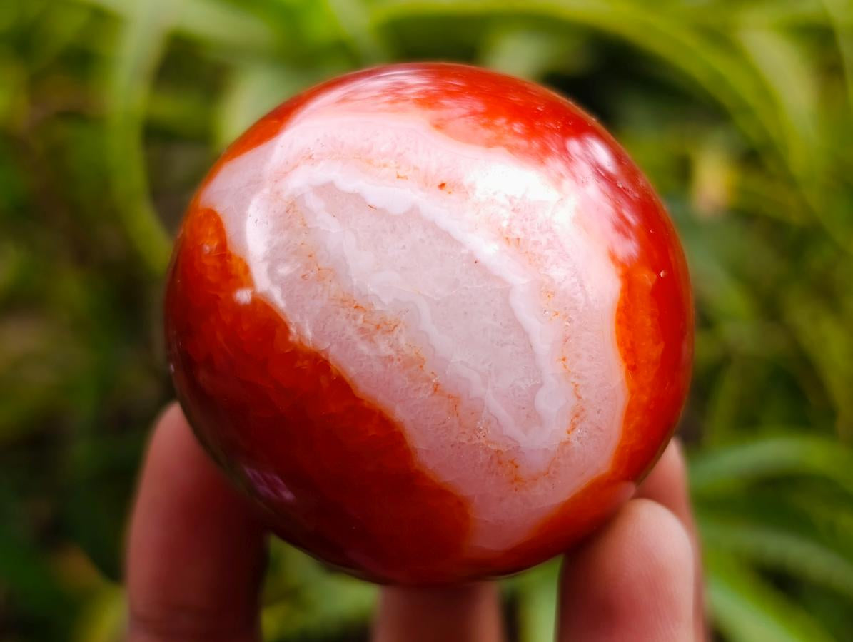 Polished Carnelian Agate Gemstone Spheres x 6 From Madagascar