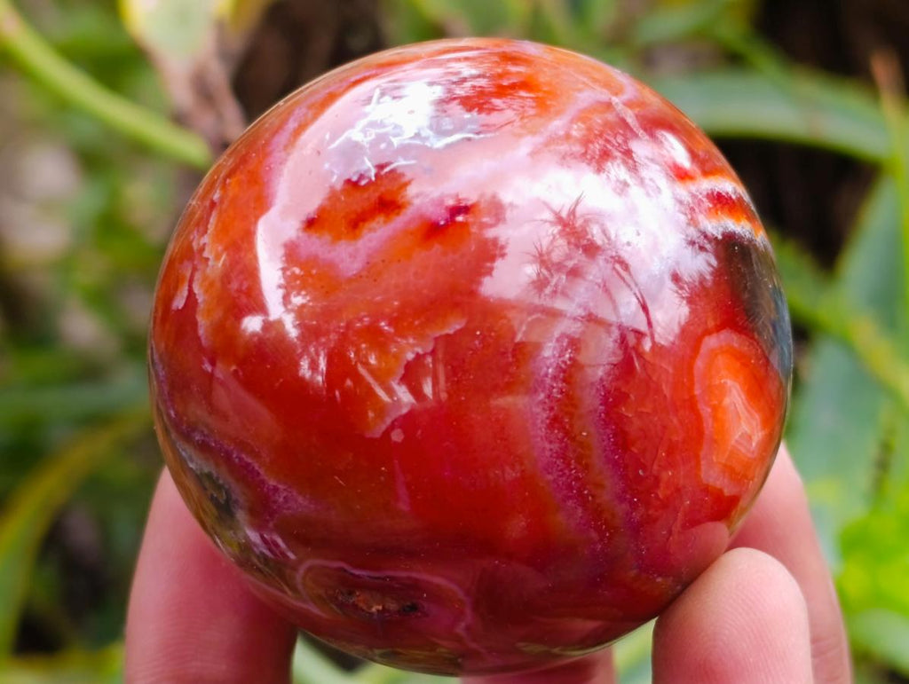 Polished Carnelian Agate Gemstone Spheres x 6 From Madagascar