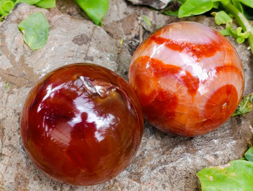 Polished Carnelian Agate Gemstone Spheres x 6 From Madagascar