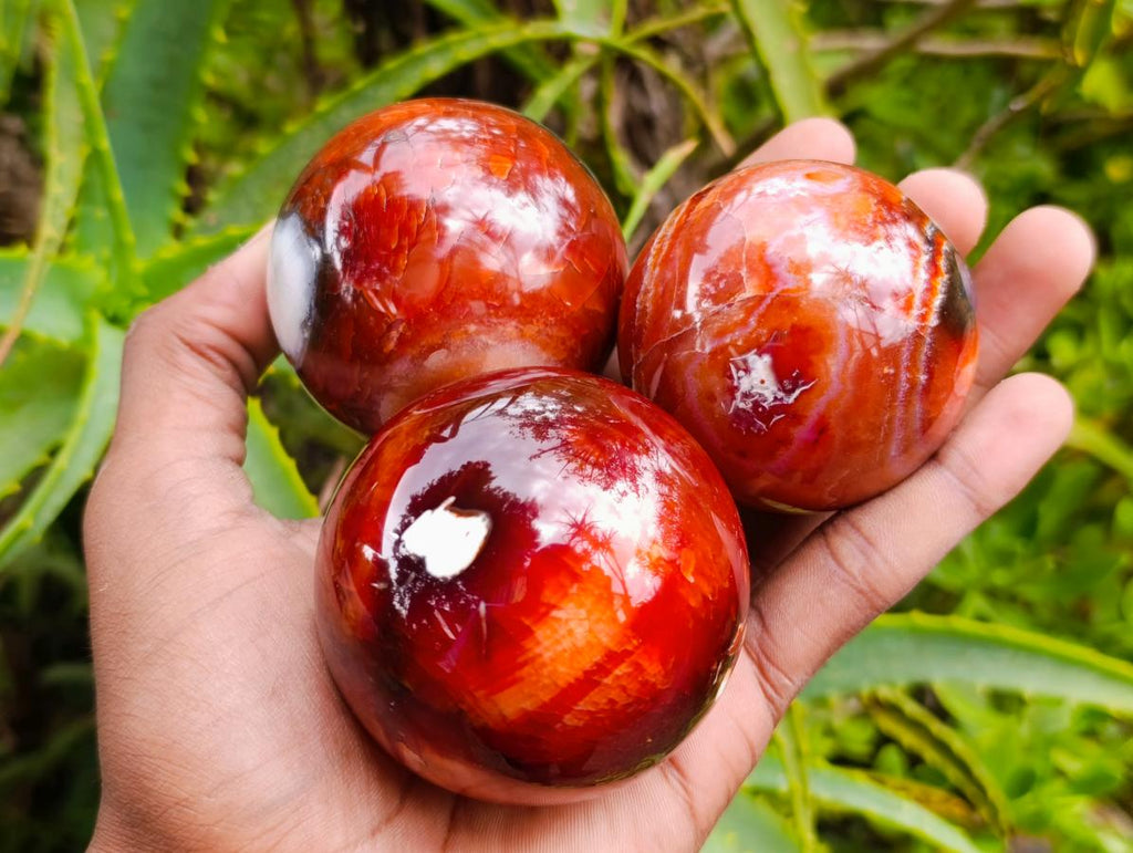 Polished Carnelian Agate Gemstone Spheres x 6 From Madagascar