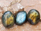 Polished Rounded Labradorite Free Forms x 70 From Madagascar