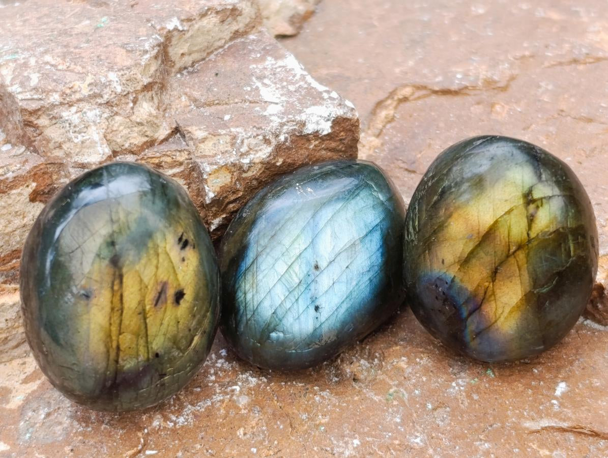 Polished Rounded Labradorite Free Forms x 70 From Madagascar