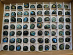 Polished Rounded Labradorite Free Forms x 70 From Madagascar