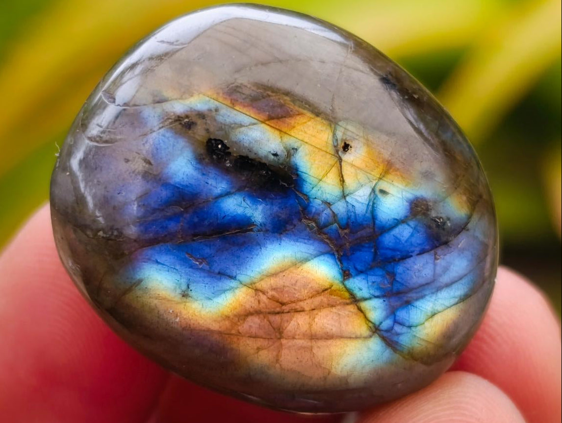 Polished Rounded Labradorite Free Forms x 70 From Madagascar