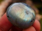 Polished Rounded Labradorite Free Forms x 70 From Madagascar