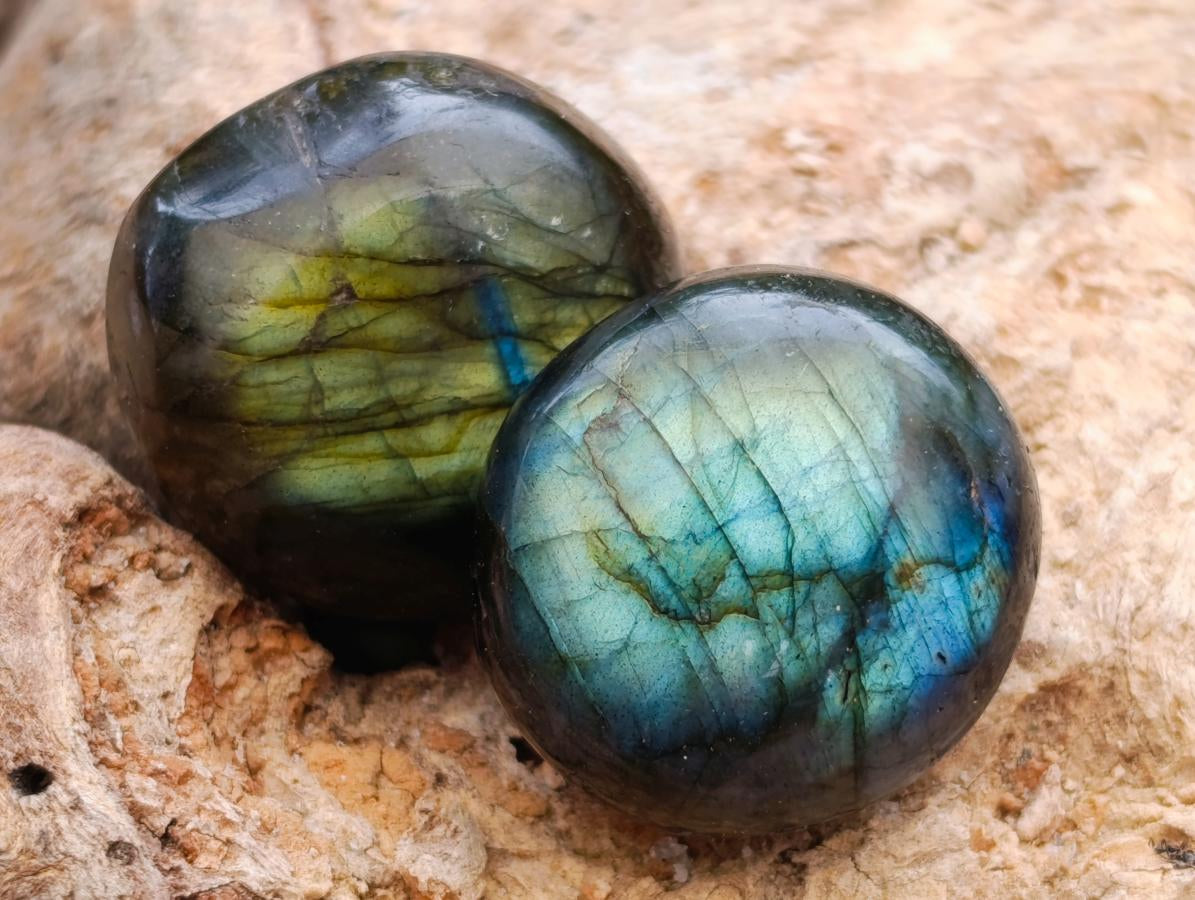 Polished Rounded Labradorite Free Forms x 70 From Madagascar