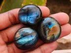 Polished Rounded Labradorite Free Forms x 70 From Madagascar
