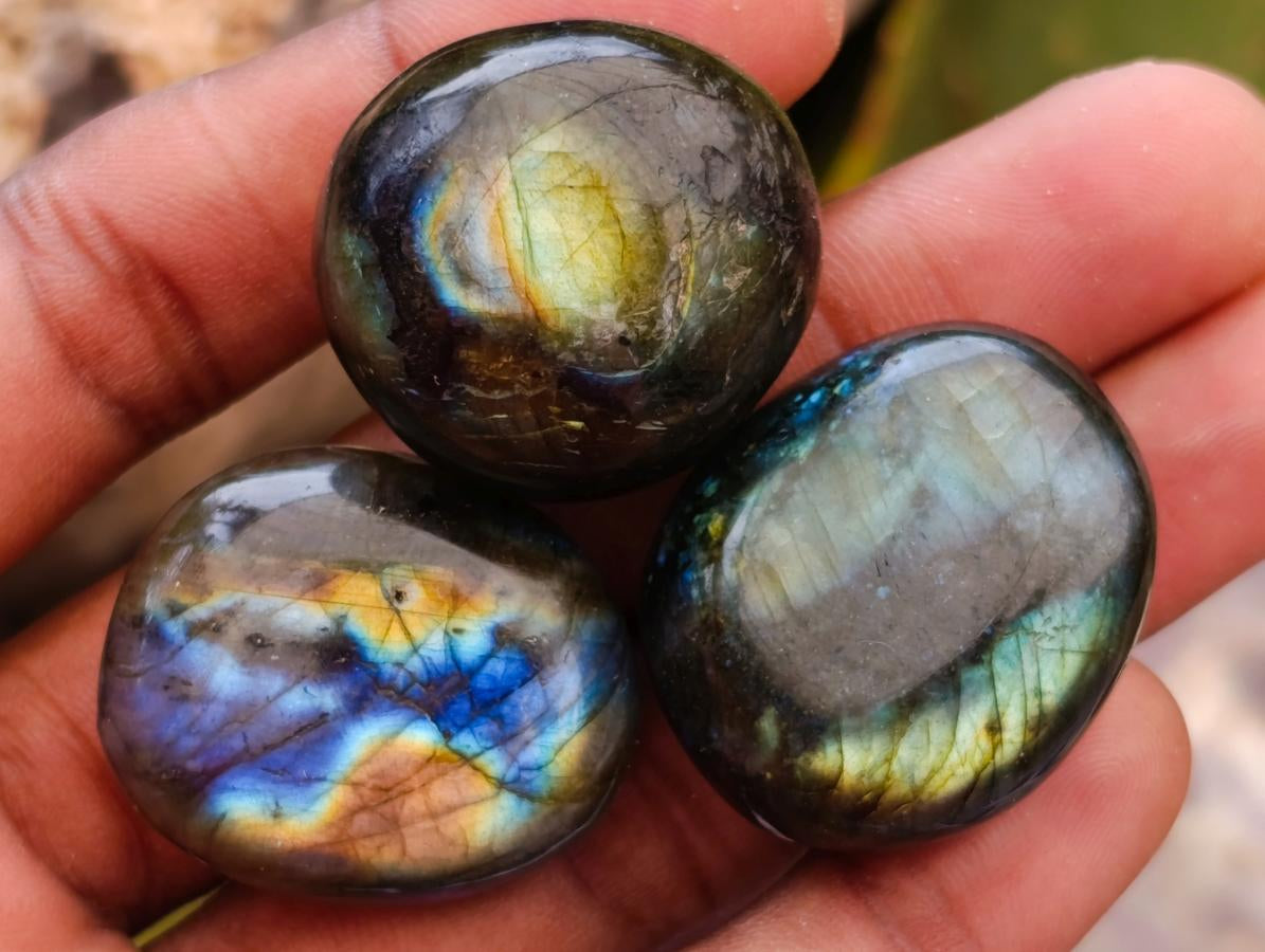 Polished Rounded Labradorite Free Forms x 70 From Madagascar