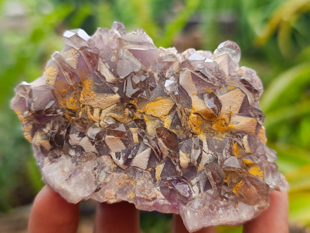 Natural Rare Amethyst Asylum Quartz Clusters x 12 From Luena, Congo