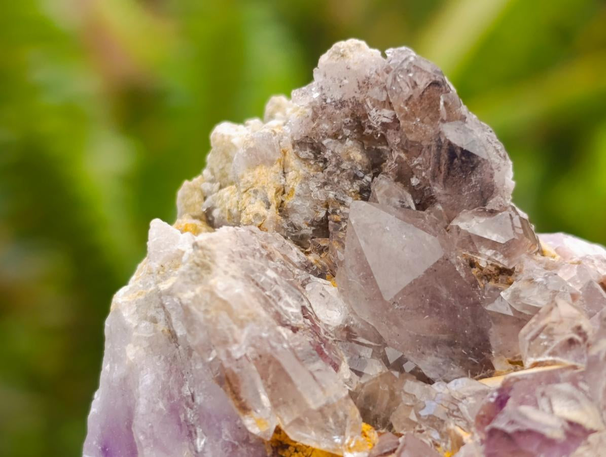 Natural Rare Amethyst Asylum Quartz Clusters x 12 From Luena, Congo