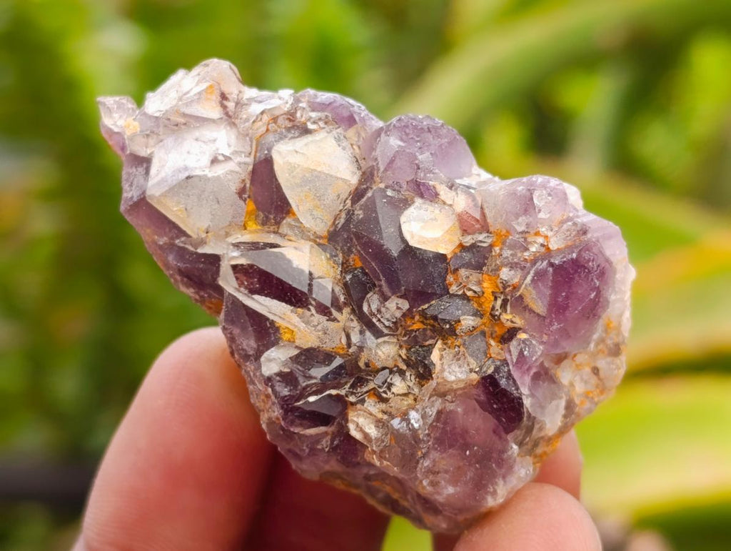Natural Rare Amethyst Asylum Quartz Clusters x 12 From Luena, Congo
