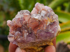 Natural Rare Amethyst Asylum Quartz Clusters x 12 From Luena, Congo
