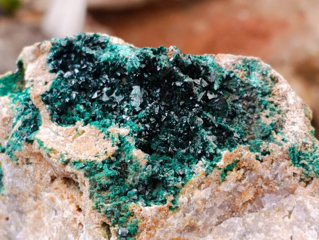 Natural Large Libethenite Crystals on Dolomite Matrix Specimen x 1 From Shituru, Congo