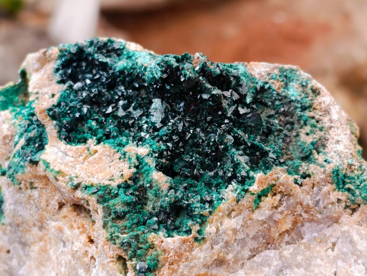 Natural Large Libethenite Crystals on Dolomite Matrix Specimen x 1 From Shituru, Congo