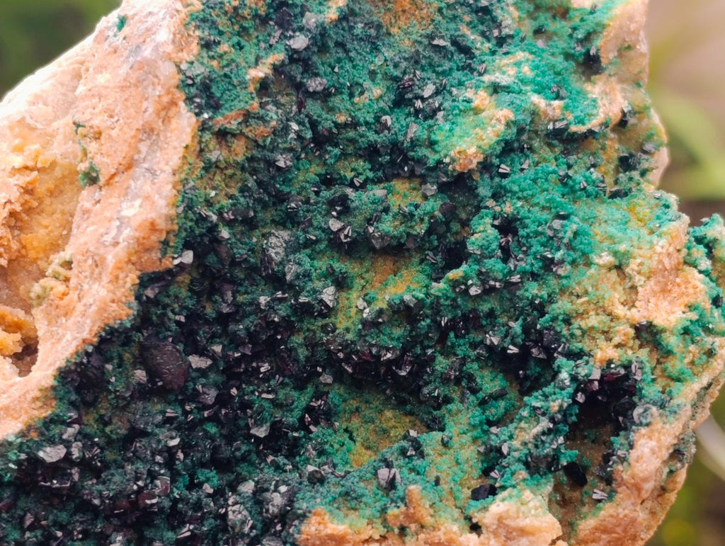 Natural Large Libethenite Crystals on Dolomite Matrix Specimen x 1 From Shituru, Congo