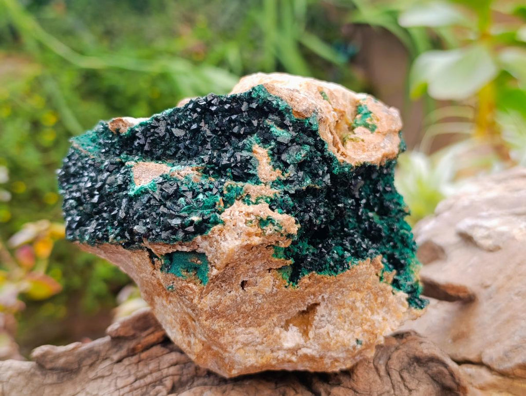 Natural Large Libethenite Crystals on Dolomite Matrix Specimen x 1 From Shituru, Congo