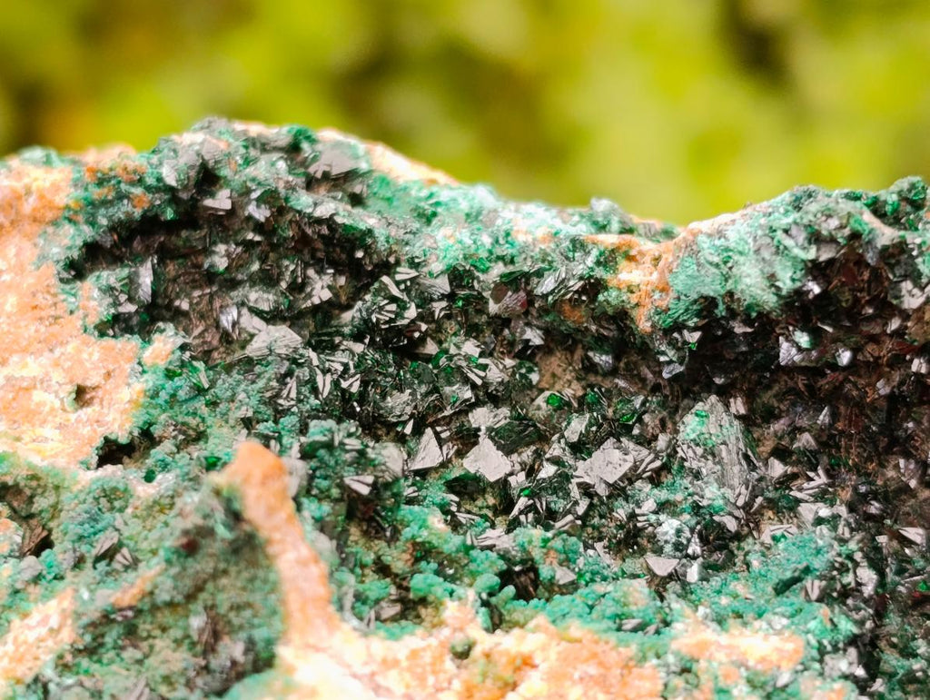 Natural Large Libethenite Crystals on Dolomite Matrix Specimen x 1 From Shituru, Congo