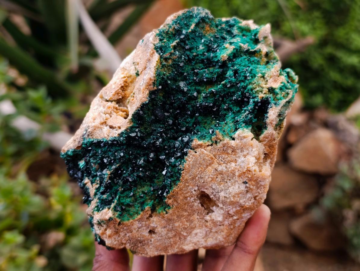 Natural Large Libethenite Crystals on Dolomite Matrix Specimen x 1 From Shituru, Congo