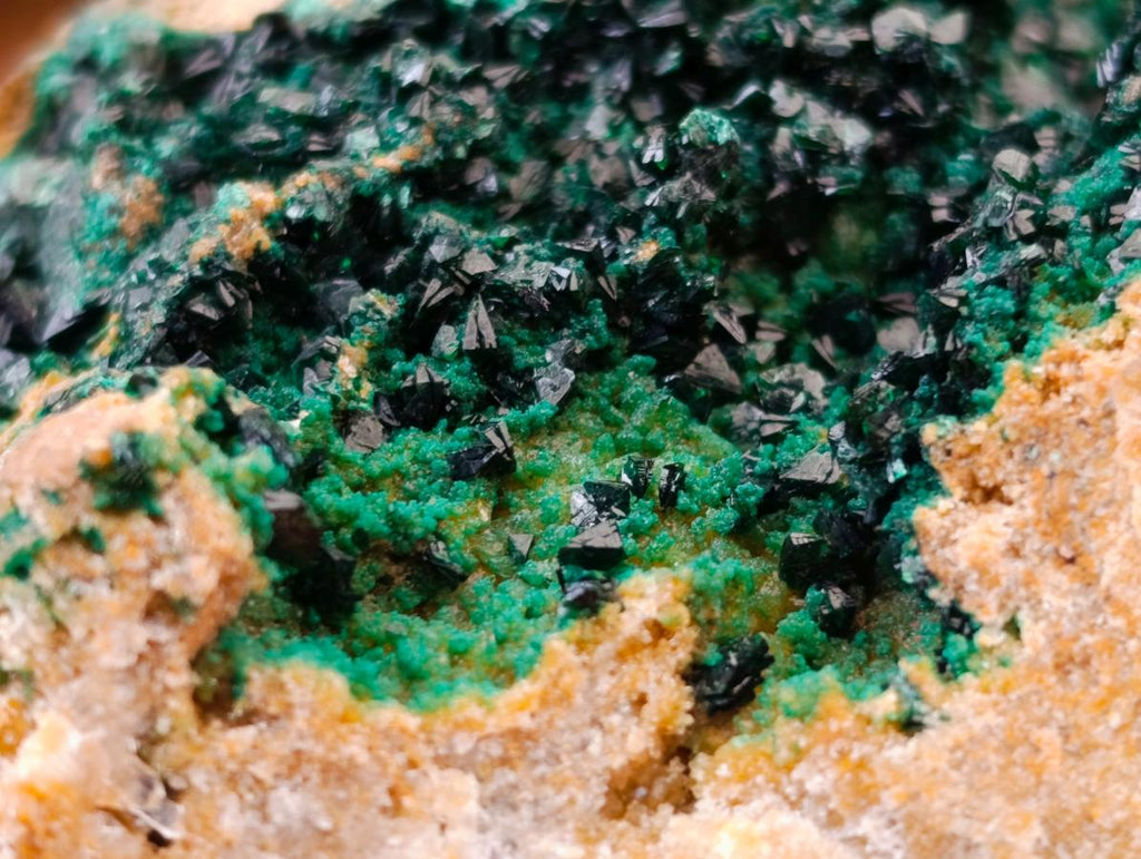 Natural Large Libethenite Crystals on Dolomite Matrix Specimen x 1 From Shituru, Congo