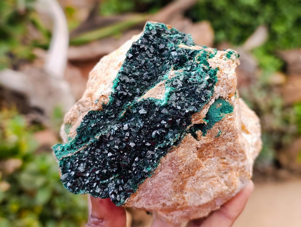 Natural Large Libethenite Crystals on Dolomite Matrix Specimen x 1 From Shituru, Congo