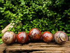 Polished Red Podocarpus Petrified Wood Spheres x 5 From Mahajanga, Madagascar