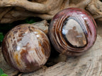 Polished Red Podocarpus Petrified Wood Spheres x 5 From Mahajanga, Madagascar