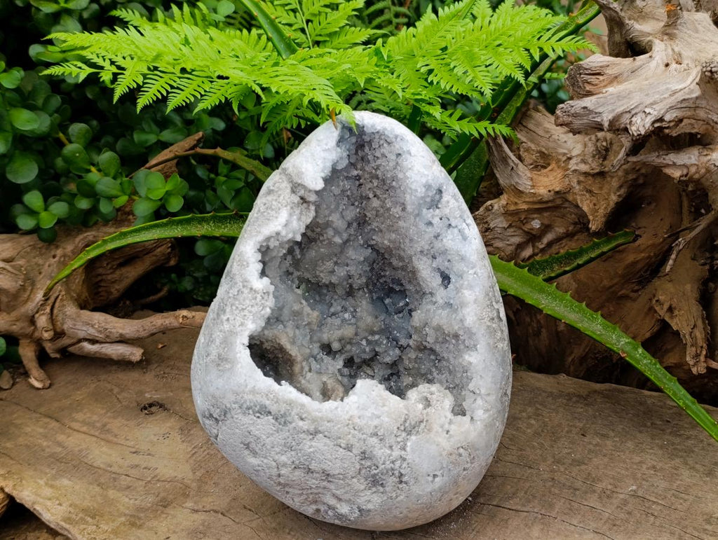 Polished XL Celestite Crystal Geode Centred Gemstone Egg x 1 From Sakoany, Madagascar