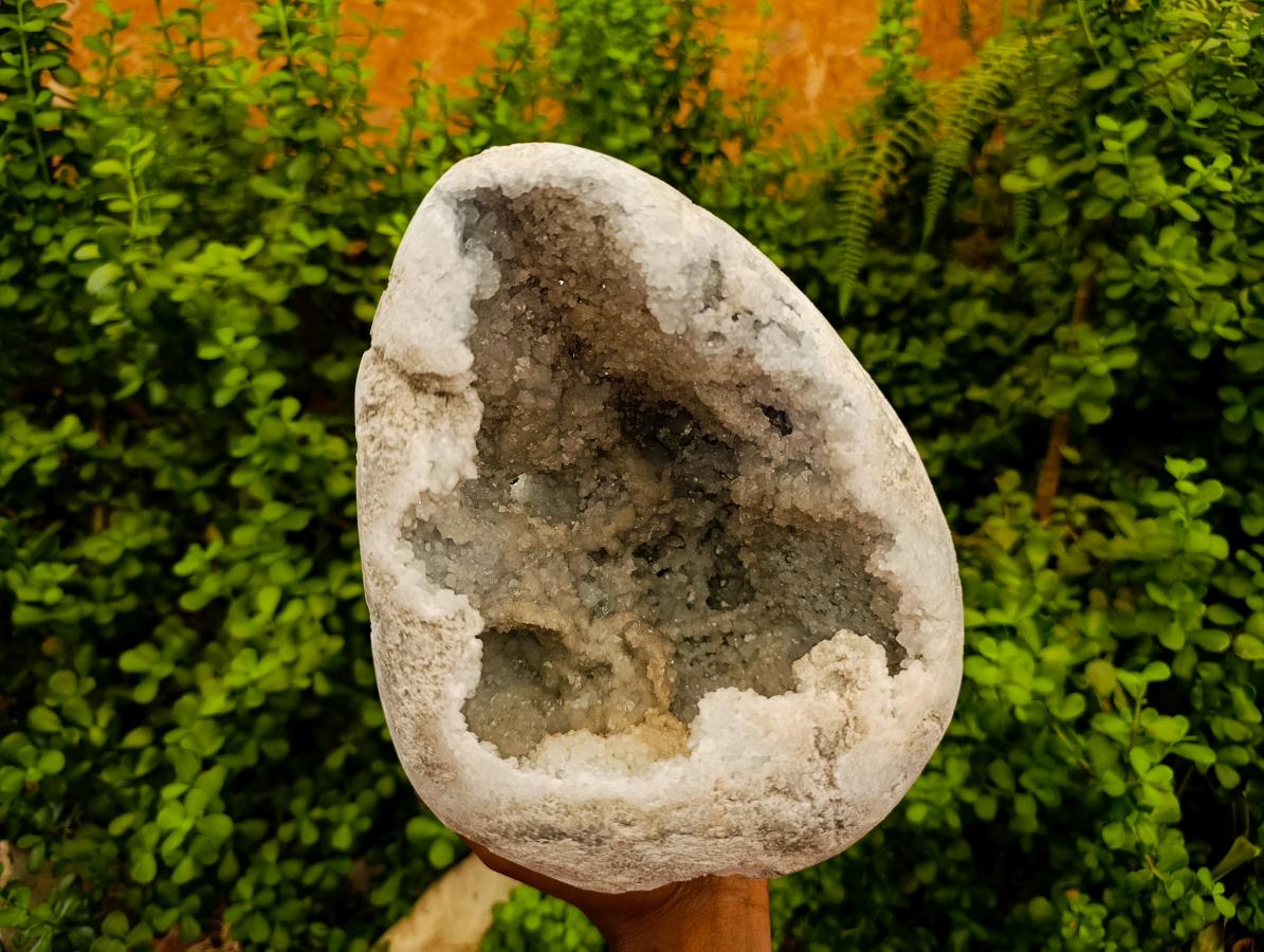 Polished XL Celestite Crystal Geode Centred Gemstone Egg x 1 From Sakoany, Madagascar