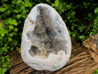 Polished XL Celestite Crystal Geode Centred Gemstone Egg x 1 From Sakoany, Madagascar