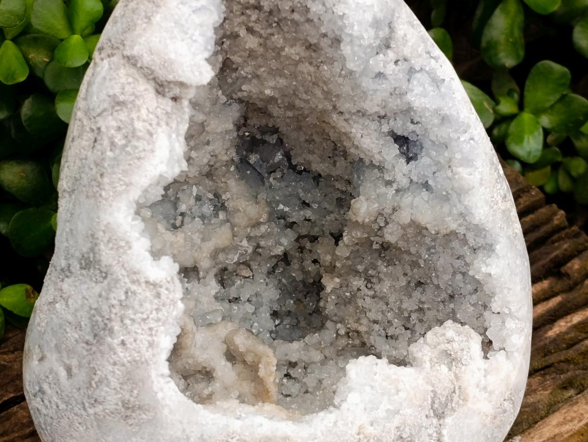 Polished XL Celestite Crystal Geode Centred Gemstone Egg x 1 From Sakoany, Madagascar