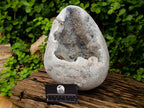Polished XL Celestite Crystal Geode Centred Gemstone Egg x 1 From Sakoany, Madagascar