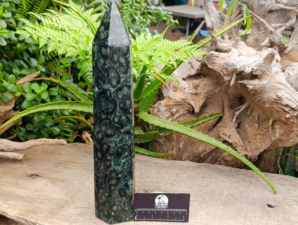 Polished XL Stromatolite Standing Display Crystal x 1 From Madagascar