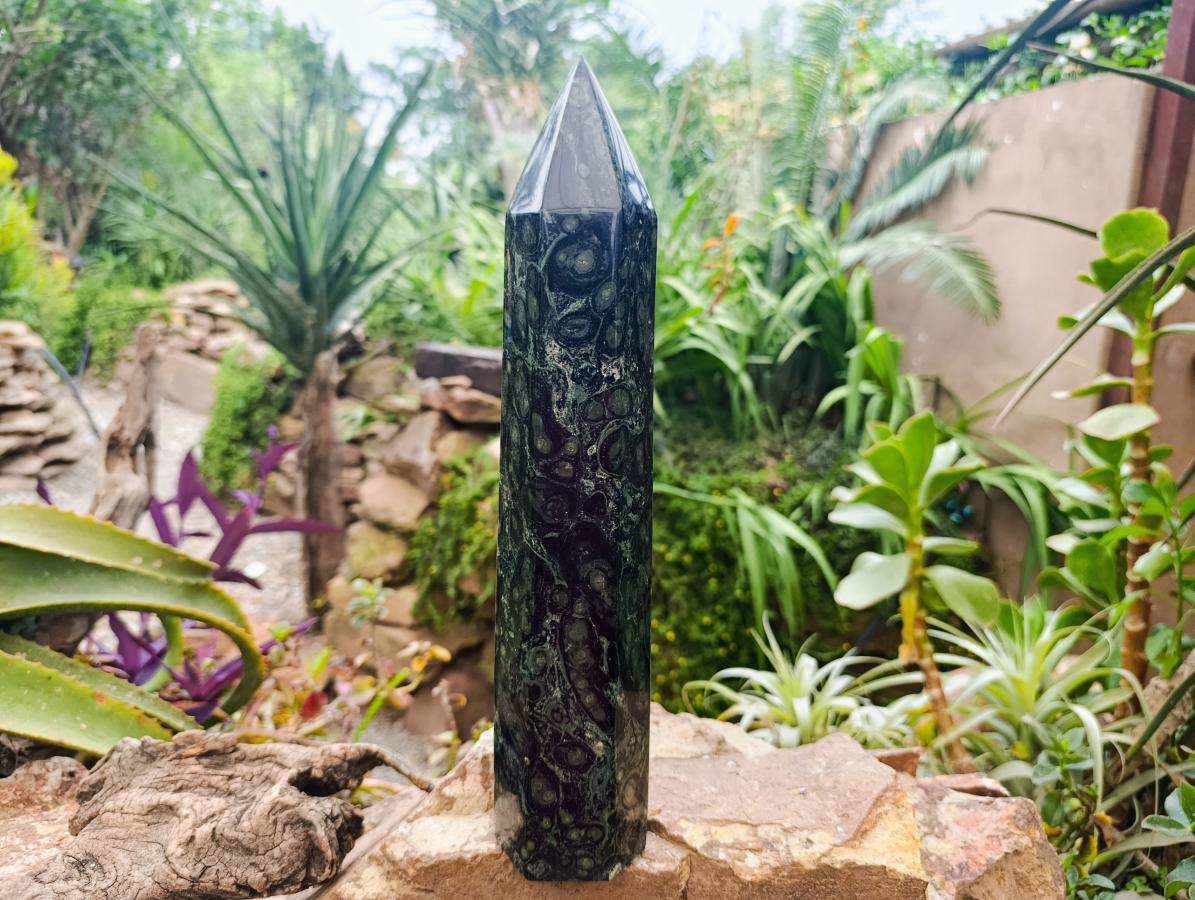 Polished XL Stromatolite Standing Display Crystal x 1 From Madagascar