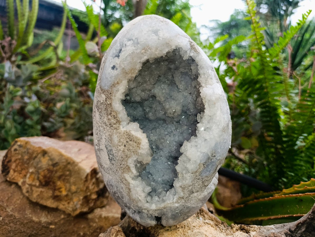 Polished Large Blue Celestite Gemstone Egg x 1 From Sakoany, Madagascar
