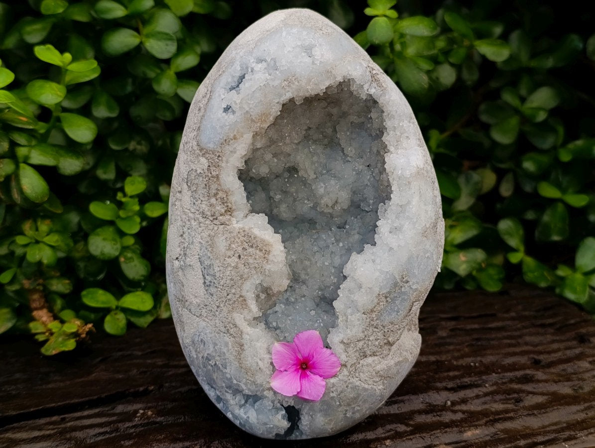 Polished Large Blue Celestite Gemstone Egg x 1 From Sakoany, Madagascar