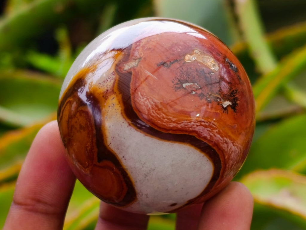 Polished Mixed Small Polychrome and Ocean Jasper Spheres x 12 From Madagascar