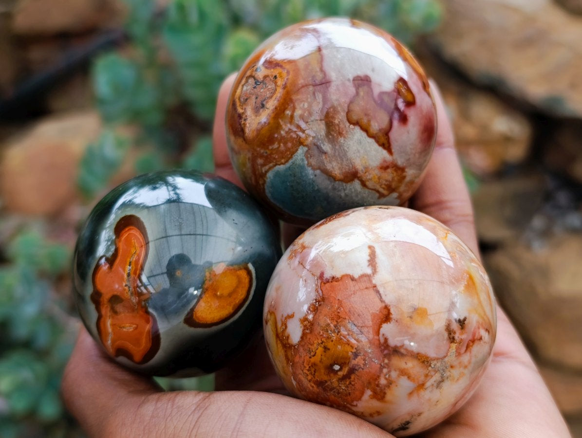 Polished Mixed Small Polychrome and Ocean Jasper Spheres x 12 From Madagascar