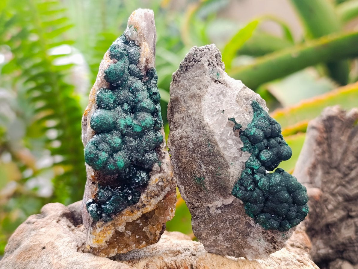 Natural Crystalline Ball Malachite on Quartz and Dolomite Specimens x 6 From Mindingi Mine, Kambove, Congo
