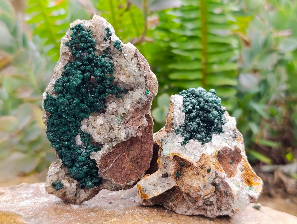 Natural Crystalline Ball Malachite on Quartz and Dolomite Specimens x 6 From Mindingi Mine, Kambove, Congo