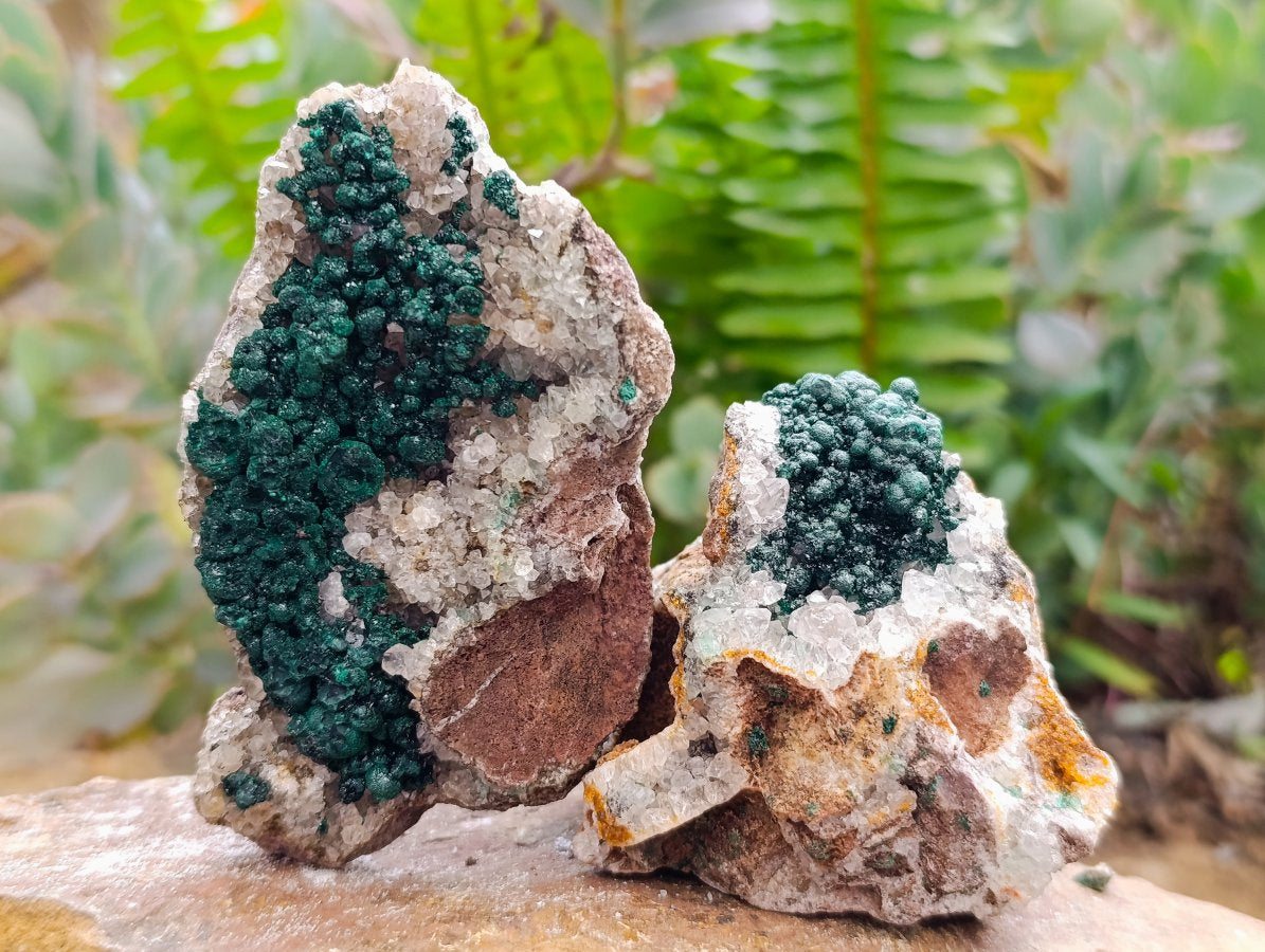 Natural Crystalline Ball Malachite on Quartz and Dolomite Specimens x 6 From Mindingi Mine, Kambove, Congo
