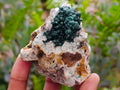 Natural Crystalline Ball Malachite on Quartz and Dolomite Specimens x 6 From Mindingi Mine, Kambove, Congo