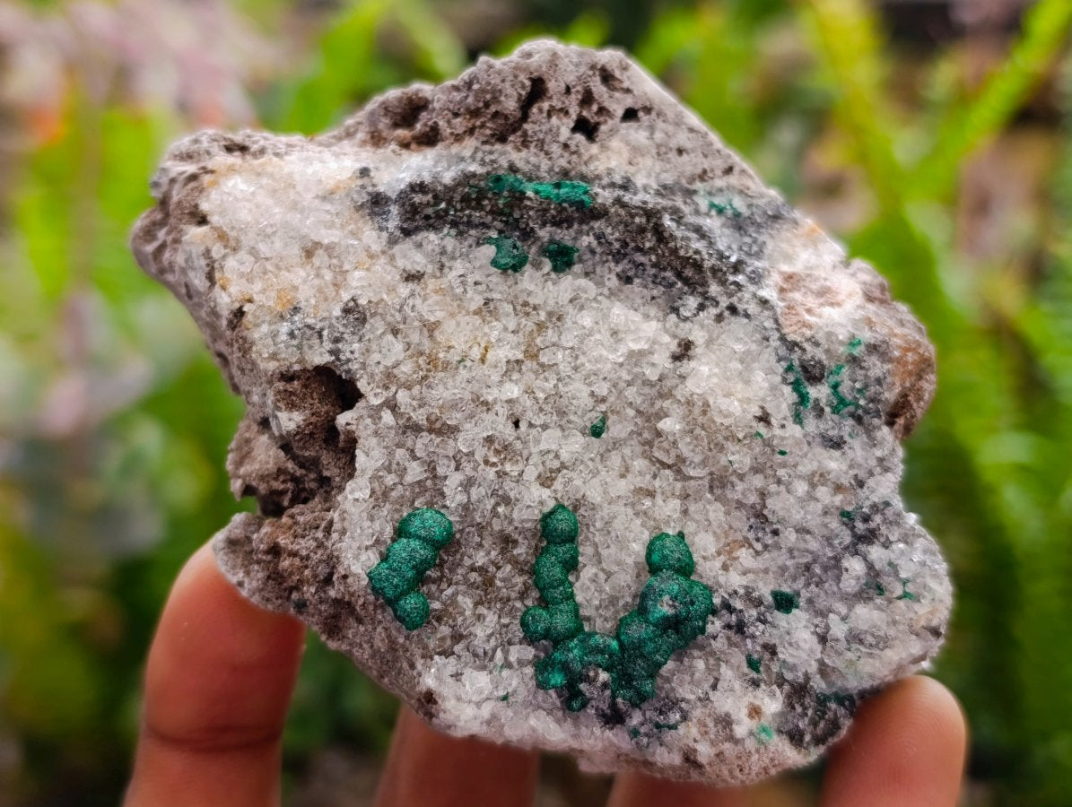 Natural Crystalline Ball Malachite on Quartz and Dolomite Specimens x 6 From Mindingi Mine, Kambove, Congo