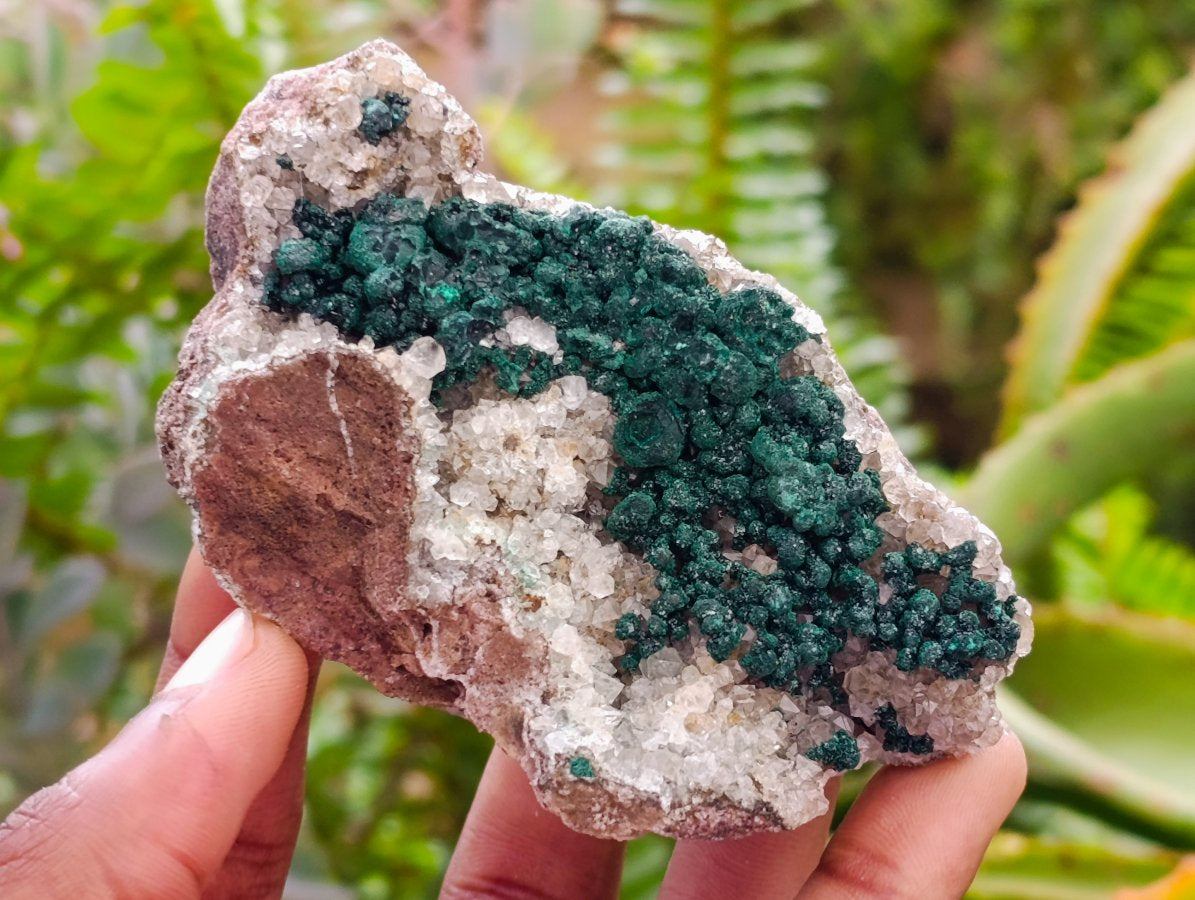 Natural Crystalline Ball Malachite on Quartz and Dolomite Specimens x 6 From Mindingi Mine, Kambove, Congo