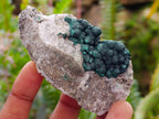Natural Crystalline Ball Malachite on Quartz and Dolomite Specimens x 6 From Mindingi Mine, Kambove, Congo