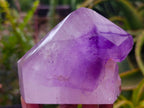 Polished Window Amethyst Crystals x 2 From Akansobe, Madagascar
